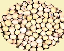 Global B2B directory Global trade lead